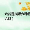 六谷是指哪六种粮食（六谷）