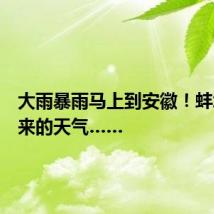 大雨暴雨马上到安徽!蚌埠接下来的天气……