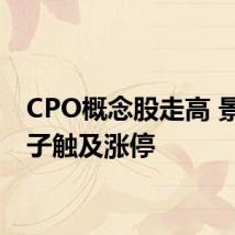CPO概念股走高 景旺电子触及涨停