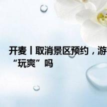 开麦丨取消景区预约，游客就能“玩爽”吗