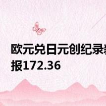 欧元兑日元创纪录新高，报172.36
