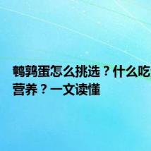 鹌鹑蛋怎么挑选？什么吃法更有营养？一文读懂