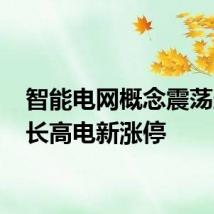 智能电网概念震荡走高 长高电新涨停