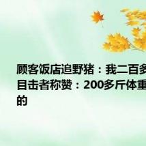 顾客饭店追野猪:我二百多斤怕它 目击者称赞:200多斤体重不是盖的