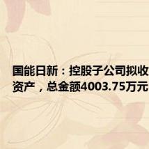 国能日新:控股子公司拟收购股权资产,总金额4003.75万元