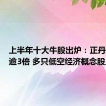 上半年十大牛股出炉:正丹股份涨逾3倍 多只低空经济概念股上榜