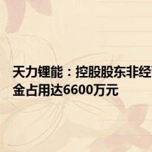 天力锂能:控股股东非经营性资金占用达6600万元