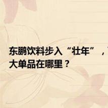 东鹏饮料步入“壮年”,下一个大单品在哪里?