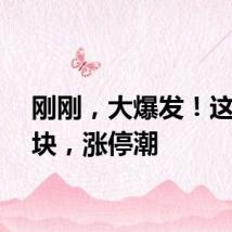 刚刚，大爆发！这一板块，涨停潮