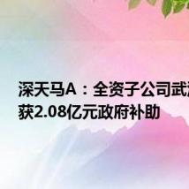 深天马A：全资子公司武汉天马获2.08亿元政府补助