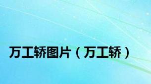 万工轿图片（万工轿）