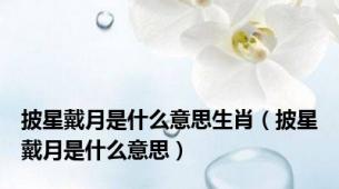 披星戴月是什么意思生肖（披星戴月是什么意思）