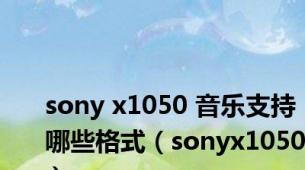 sony x1050 音乐支持哪些格式（sonyx1050）