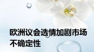欧洲议会选情加剧市场不确定性