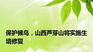 保护候鸟，山西芦芽山将实施生境修复