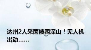 达州2人采菌被困深山！无人机出动……