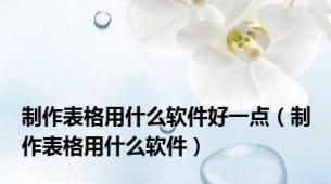 制作表格用什么软件好一点（制作表格用什么软件）