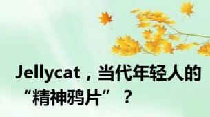 Jellycat，当代年轻人的“精神鸦片”？
