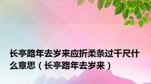 长亭路年去岁来应折柔条过千尺什么意思（长亭路年去岁来）