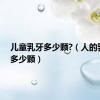 儿童乳牙多少颗?（人的乳牙有多少颗）