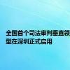 全国首个司法审判垂直领域大模型在深圳正式启用