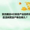 宜昌国资4亿接盘产业园停滞近3年  盘活闲置资产难在哪儿？