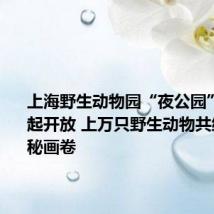 上海野生动物园“夜公园”7月1日起开放 上万只野生动物共绘夏夜神秘画卷