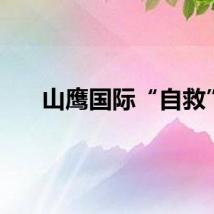 山鹰国际“自救”