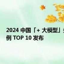 2024 中国「+ 大模型」先锋案例 TOP 10 发布
