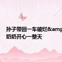 孙子带回一车破烂 奶奶开心一整天