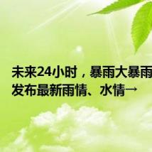 未来24小时,暴雨大暴雨!益阳发布最新雨情、水情→