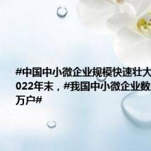 #中国中小微企业规模快速壮大#!截至2022年末,#我国中小微企业数量超5200万户#