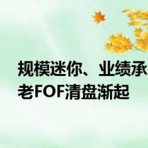 规模迷你、业绩承压 养老FOF清盘渐起