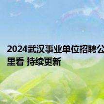 2024武汉事业单位招聘公告在哪里看 持续更新