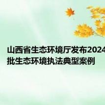 山西省生态环境厅发布2024年第二批生态环境执法典型案例