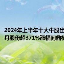 2024年上半年十大牛股出炉:正丹股份超371%涨幅问鼎榜首