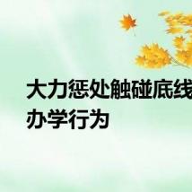 大力惩处触碰底线红线办学行为