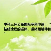 中科三环公布国际专利申请:“一种带有粘结涂层的磁体、磁体组装件和电气装置”