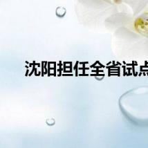 沈阳担任全省试点