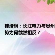 桂浩明:长江电力与贵州茅台走势为何截然相反?