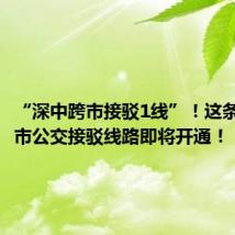 “深中跨市接驳1线”!这条深中跨市公交接驳线路即将开通!