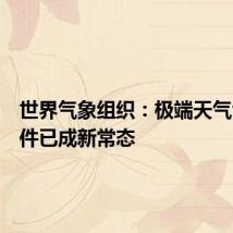 世界气象组织:极端天气气候事件已成新常态