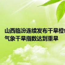 山西临汾连续发布干旱橙色预警 气象干旱指数达到重旱