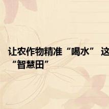 让农作物精准“喝水” 这里耕出“智慧田”