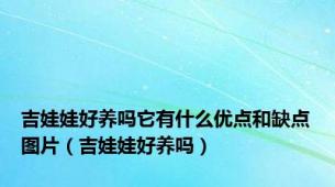 吉娃娃好养吗它有什么优点和缺点图片（吉娃娃好养吗）