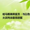 哈马斯高级官员：与以色列就停火谈判未取得进展
