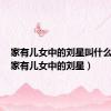 家有儿女中的刘星叫什么名字（家有儿女中的刘星）