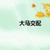 大马交配