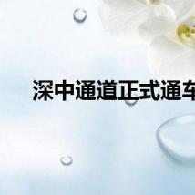 深中通道正式通车