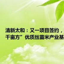 清新太和:又一项目签约,打造“千亩方”优质丝苗米产业基地